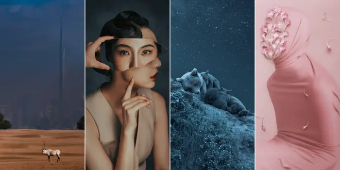 Удивительные кадры дикой природы: финалисты Siena Creative Photo Awards