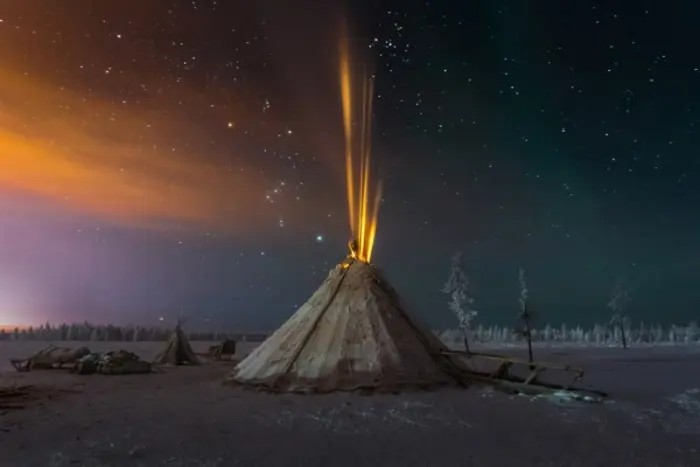 Удивительные кадры дикой природы: финалисты Siena Creative Photo Awards