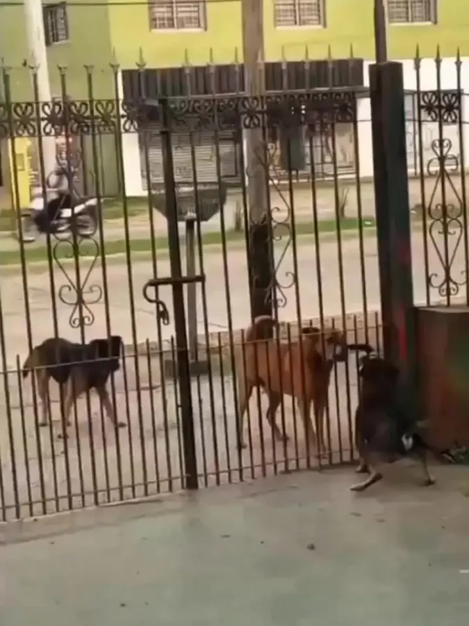 Всегда одно и то же