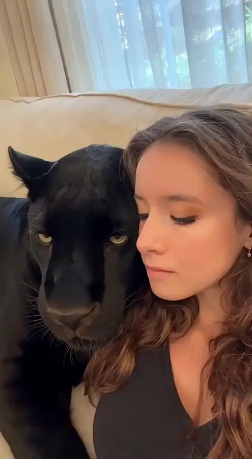 Зевнули