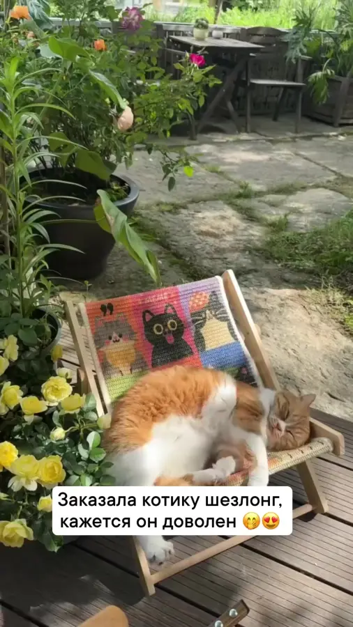 Жизнь удалась)