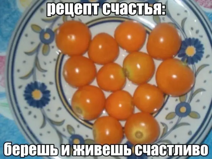 Смешные фото, от которых невозможно оторваться