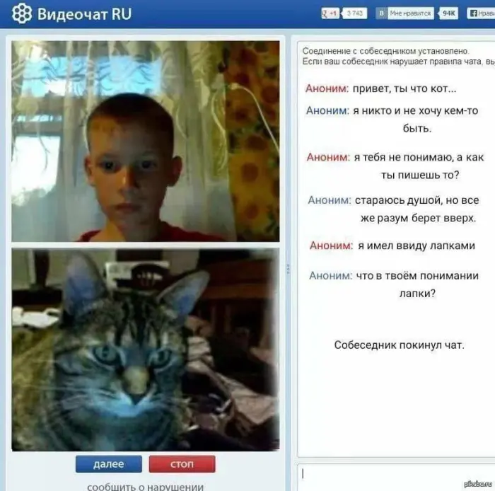 Мемы, от которых ломается мозг
