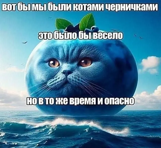 Когда интернет смеётся над абсурдом