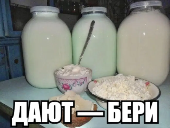 Сборник самых абсурдных мемов из интернета