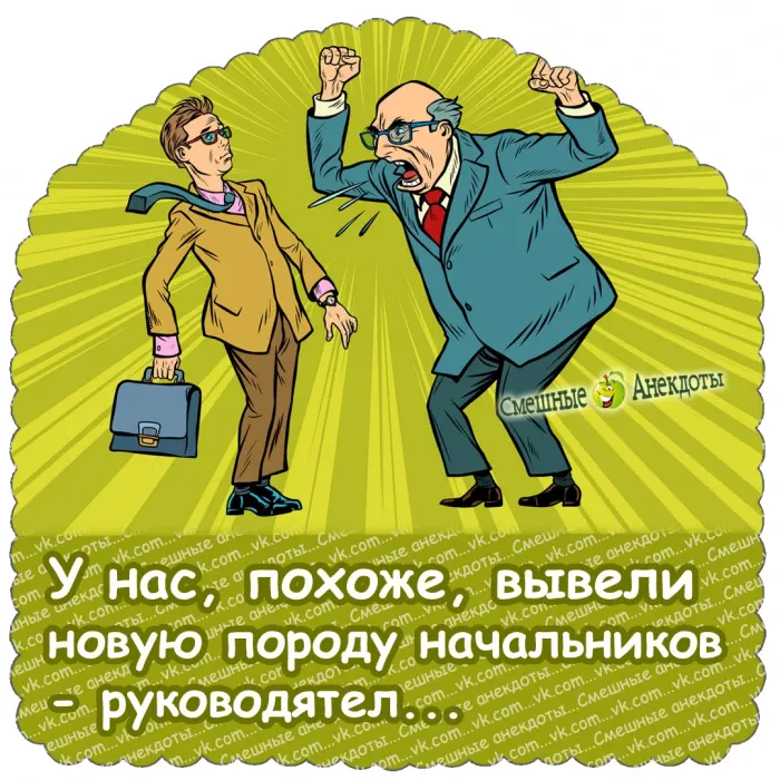 Лучшие анекдоты