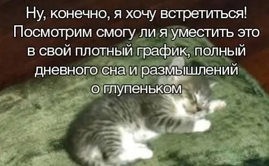Подборка абсурдных мемов для поднятия настроения