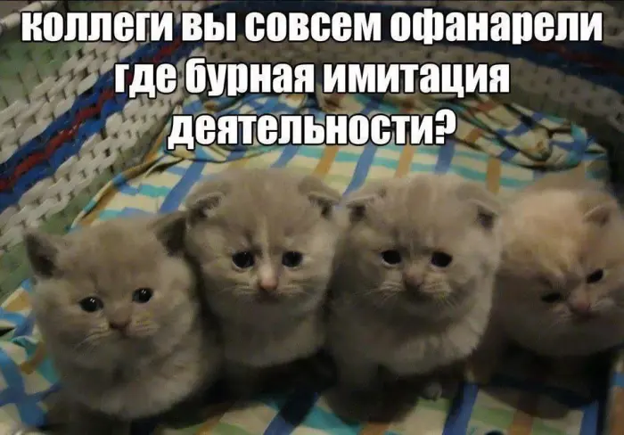Подборка забавных фото с неожиданным поворотом