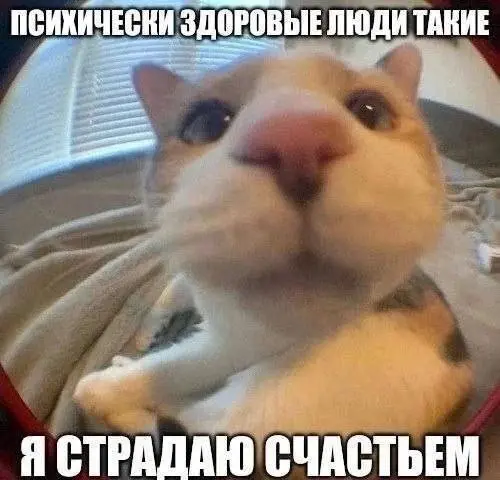 Подборка глупых шуток для поднятия настроения