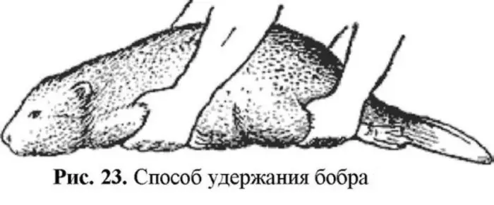 Подборка абсурдного юмора для поднятия настроения