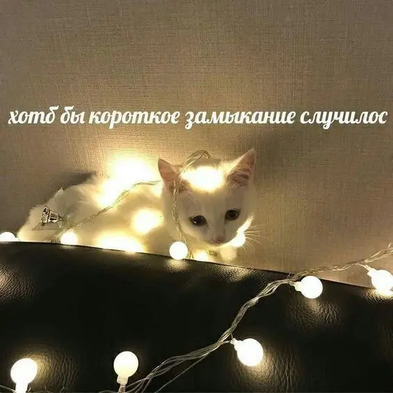 Подборка странных мемов и нелепых картинок