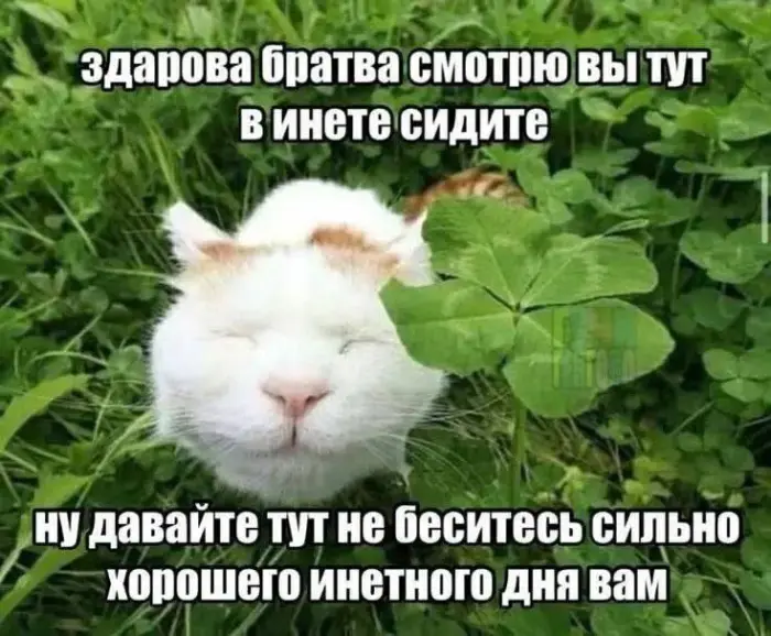 Подборка смешных мемов, которые поднимут настроение
