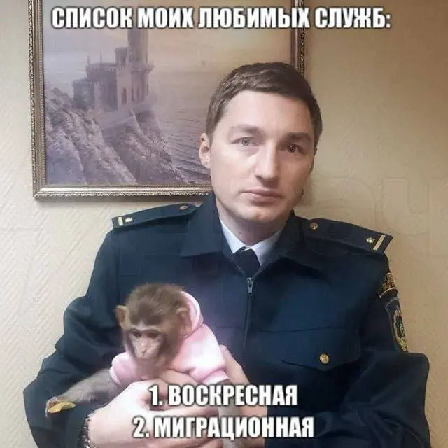 Когда юмор выходит из рамок, подборка странных шуток