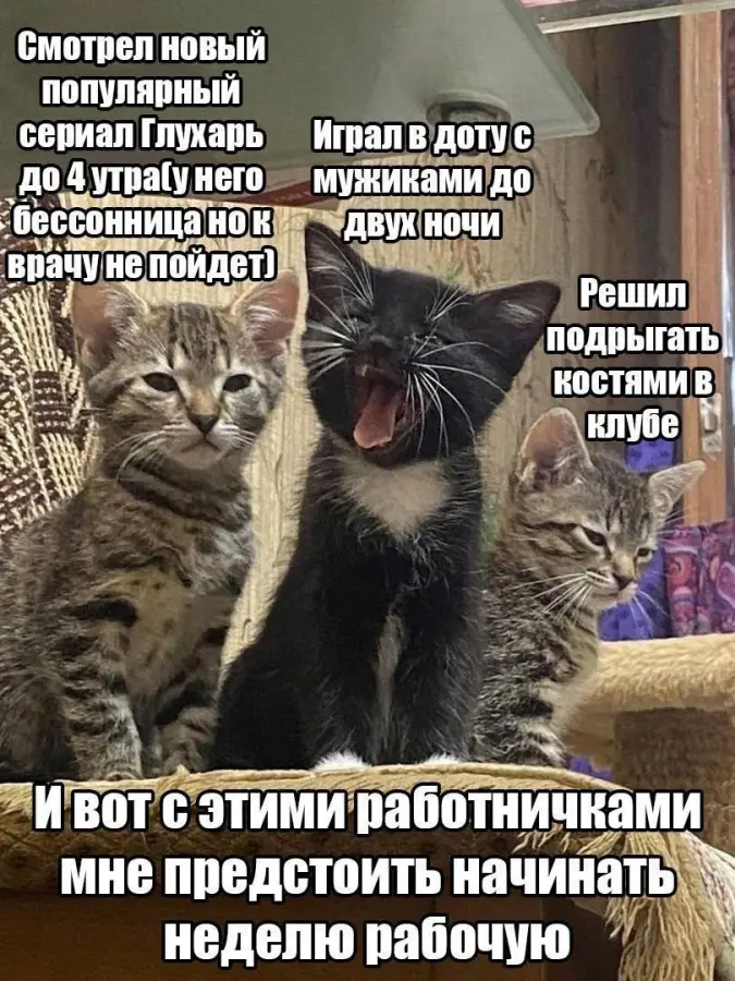 Подборка фото, от которых невозможно удержаться от смеха