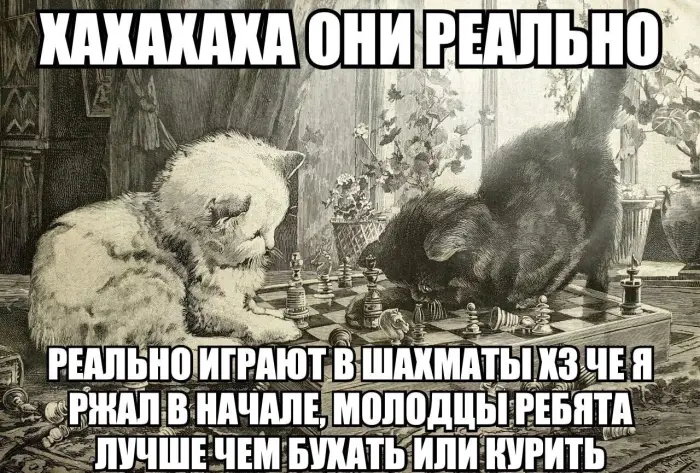 Подборка абсурдных мемов для поднятия настроения