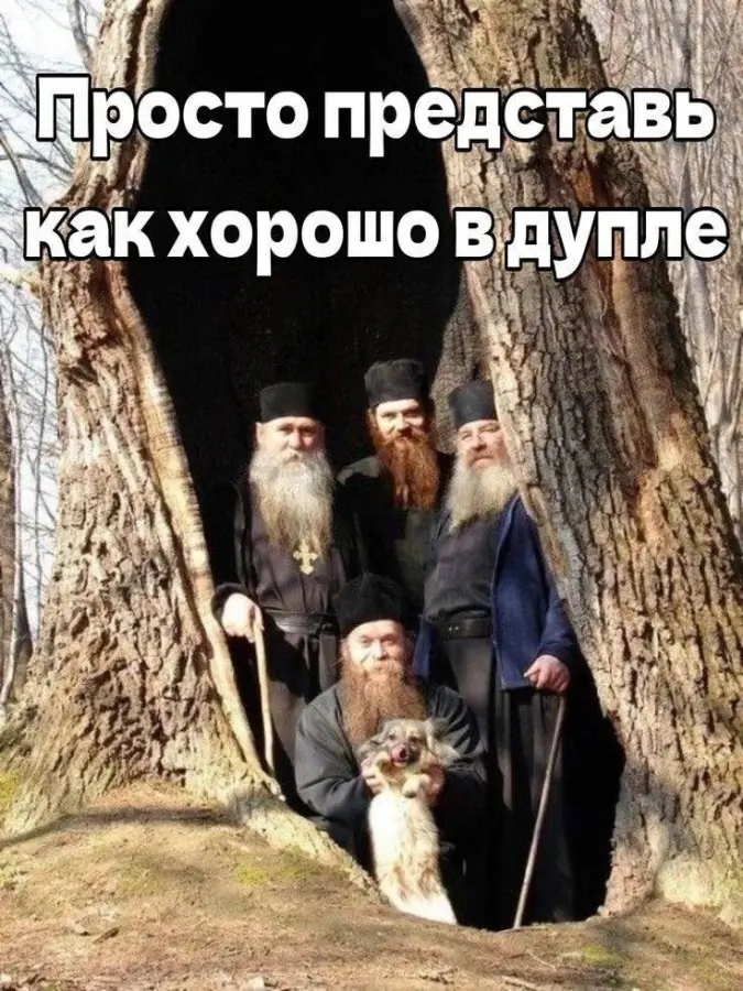 Когда реальность смешнее выдумки
