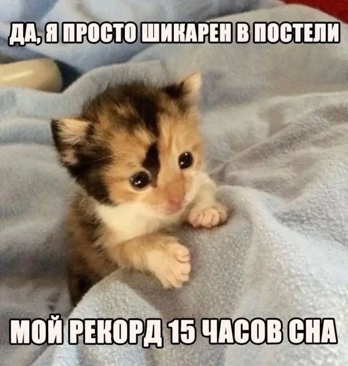 Подборка странных мемов