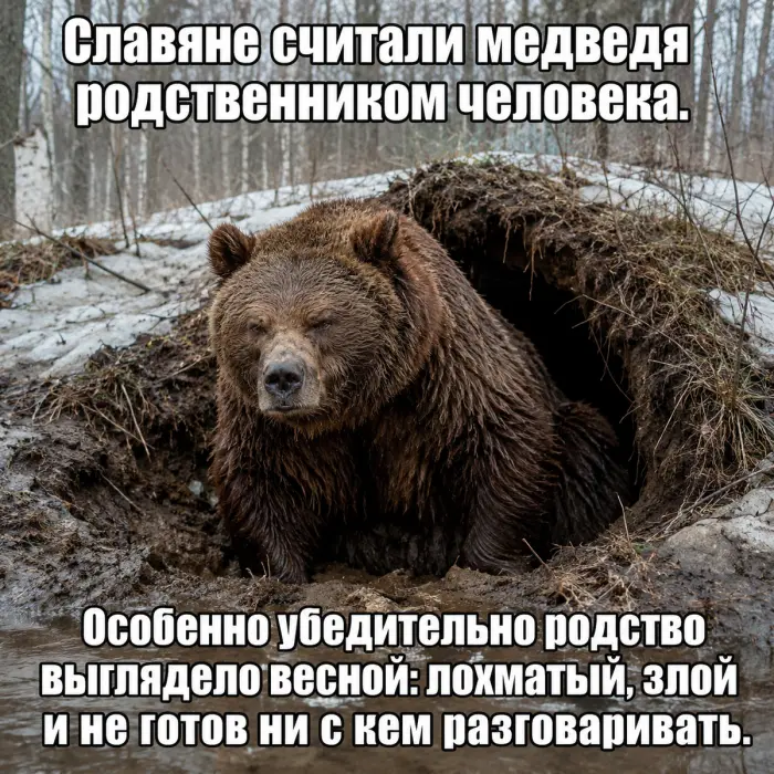 Откуда в русском языке взялось слово медведь и почему его настоящее имя скрыто