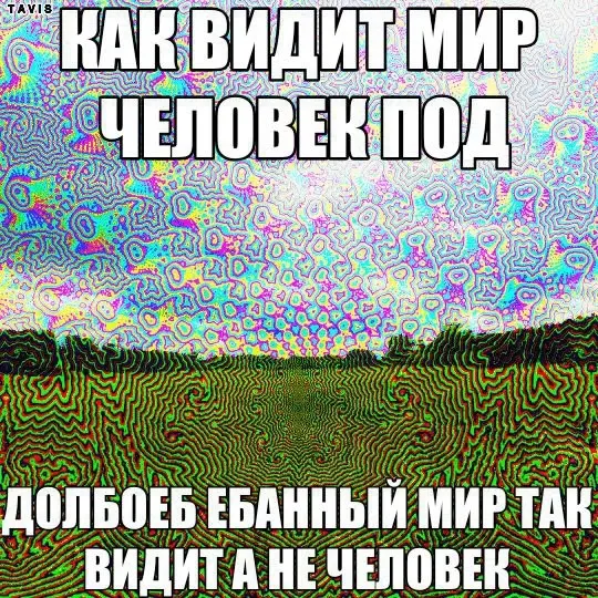 Когда природа шутит от души