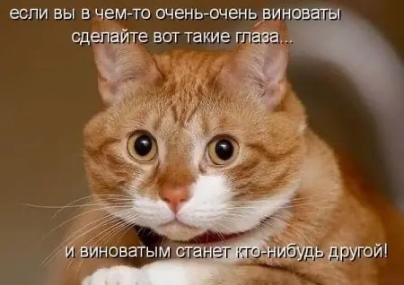 Когда интернет смеётся над абсурдом