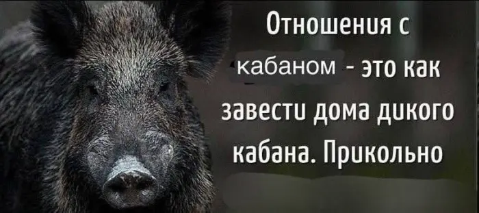 Подборка забавных и необычных фотографий