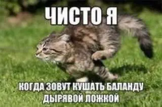 Когда природа шутит по-глупому
