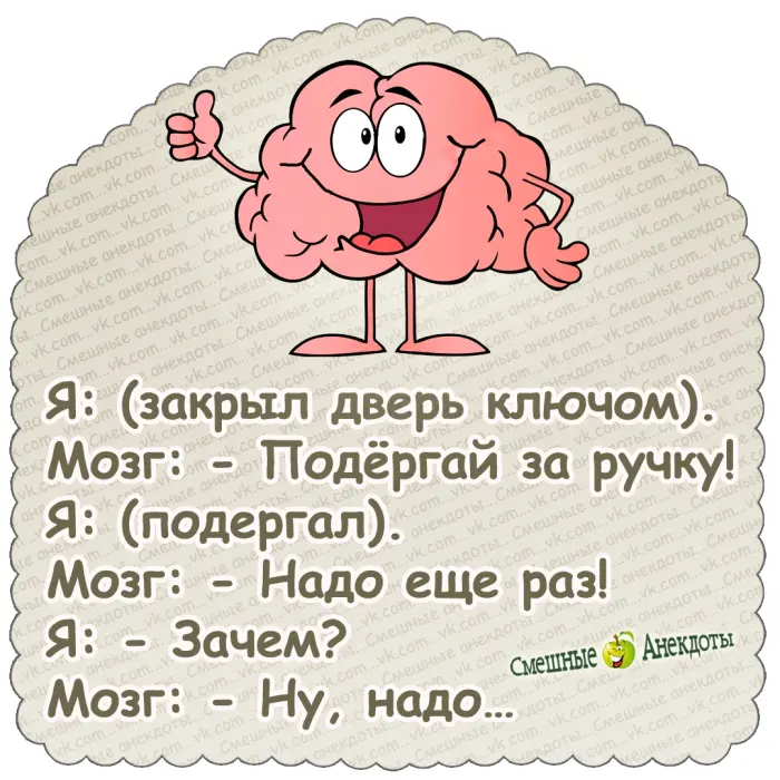 Хорошие анекдоты на каждый день