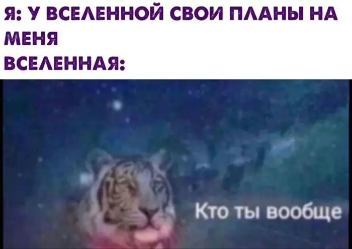 Коллекция абсурдного юмора
