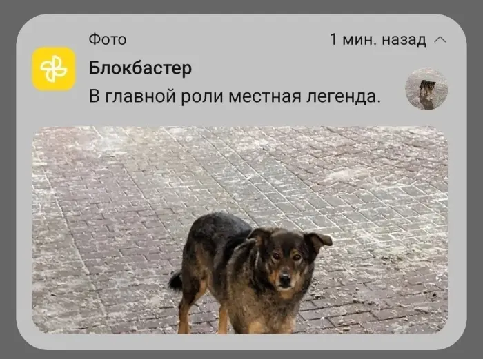 Подборка забавных фото с неожиданным поворотом