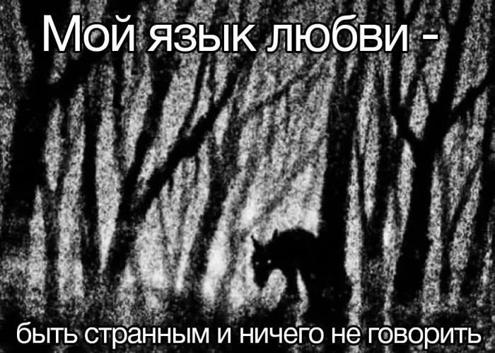 Коллекция необычных шуток в изображениях