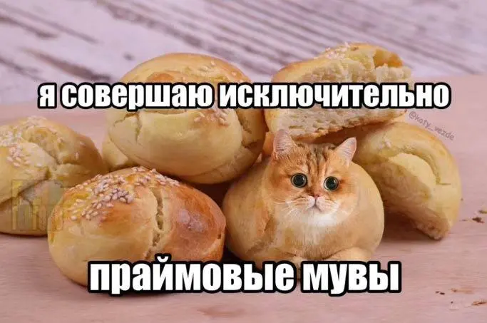 Подборка глупых мемов, чтобы поднять настроение