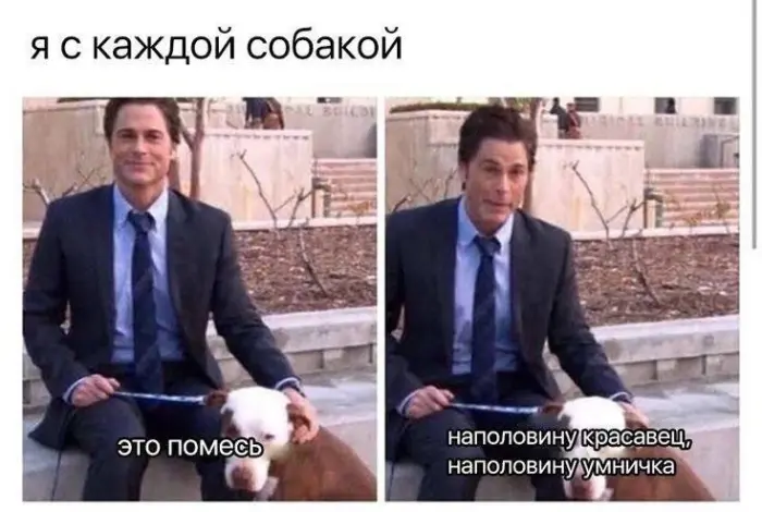 Коллекция бессмысленных мемов для хорошего настроения