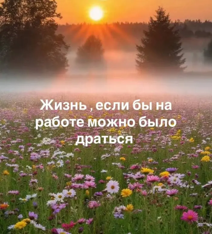 Подборка странных мемов и нелепых картинок
