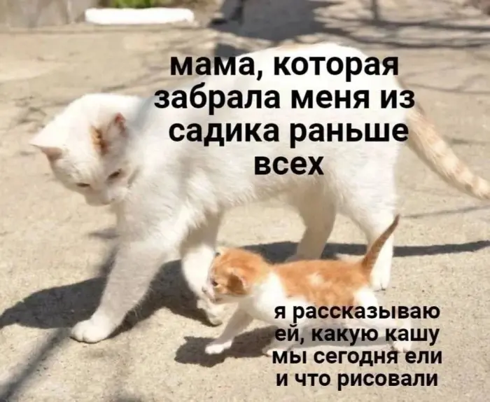 Мемы, от которых невозможно оторваться