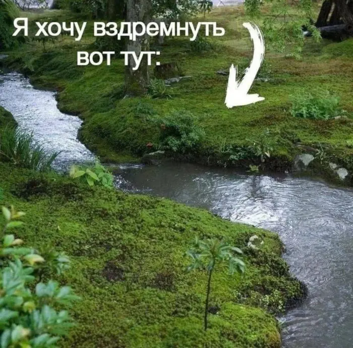 Подборка абсурдных мемов для поднятия настроения