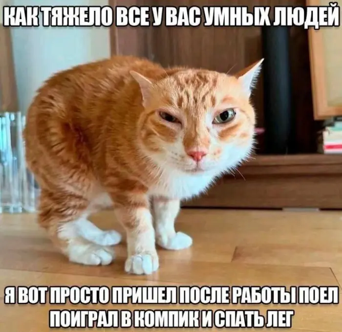 Подборка смешных мемов, которые поднимут настроение