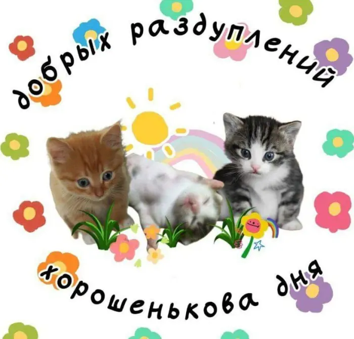 Подборка смешных картинок, чтобы поднять себе настроение