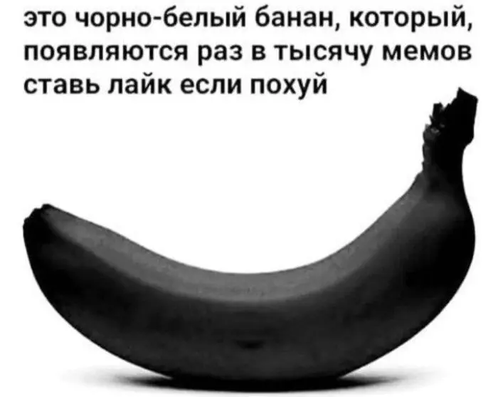 Бессмысленные мемы, от которых невозможно оторваться