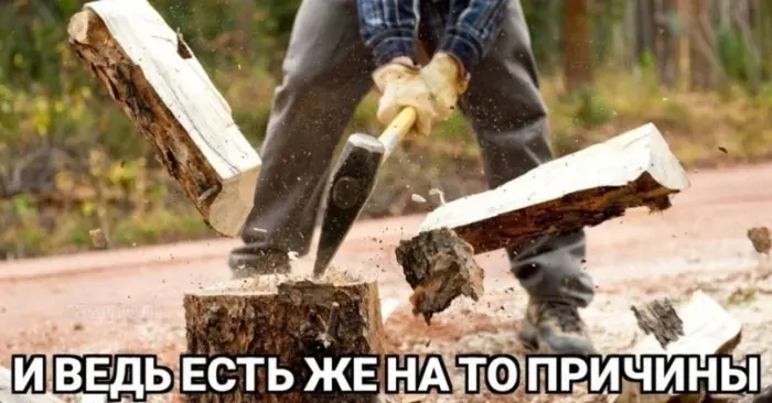 Подборка абсурдных мемов для поднятия настроения