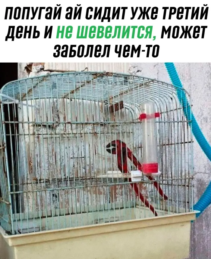 Подборка смешных мемов, чтобы поднять настроение
