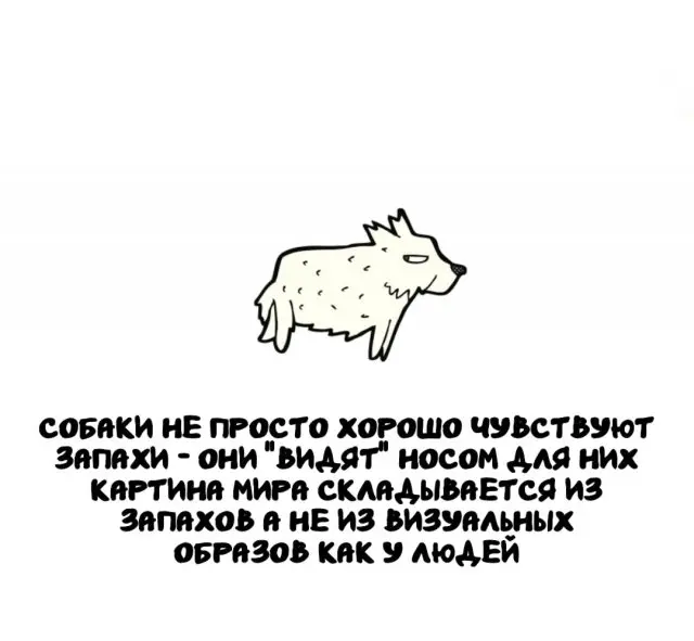 Факты, которые расширят ваш кругозор