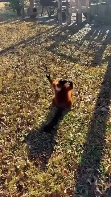 Загораем
