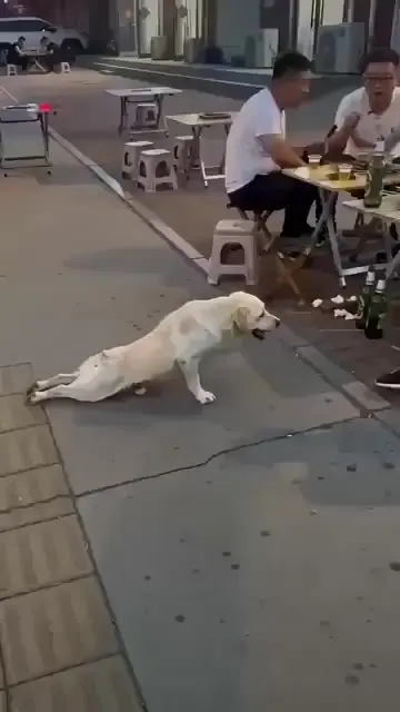 Артист
