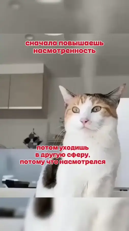 Больше то и не хочется