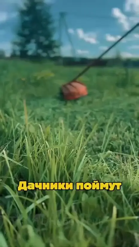 Дачный юмор