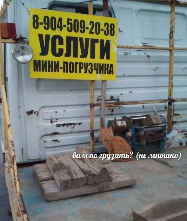 Доза хорошего настроения
