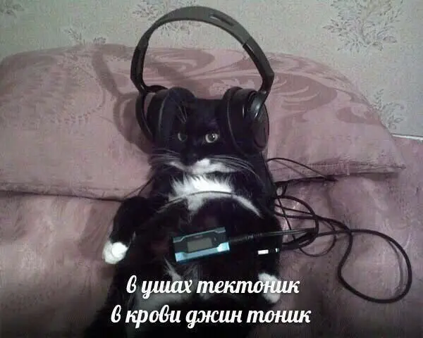 Доза хорошего настроения: мемы, юмор и картинки