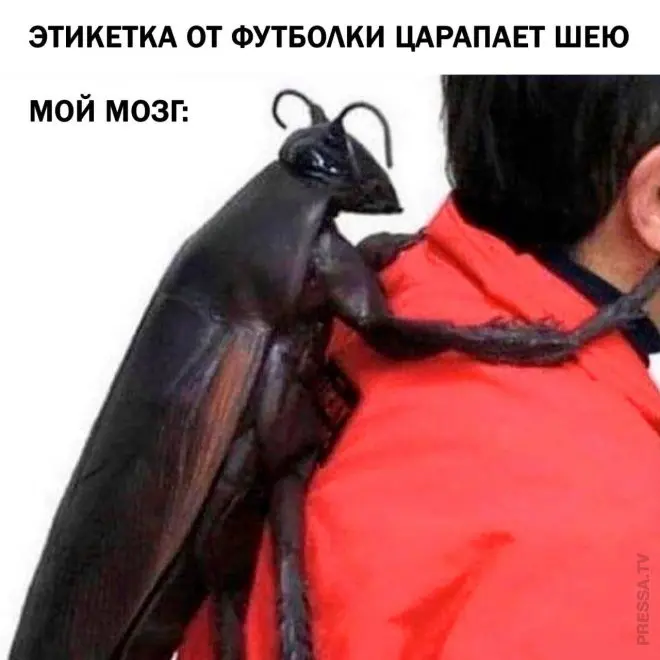 Если не засмеешься, мемы обидятся.
