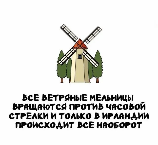 Факты обо всем