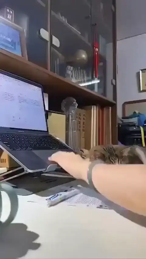 Главный плюс в работе на удалёнке